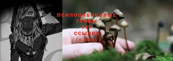 спиды Хадыженск