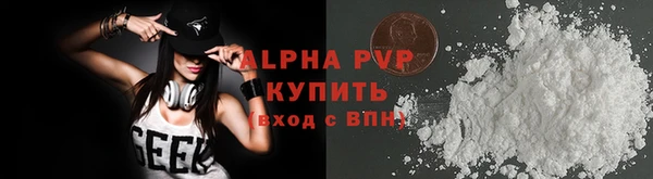 молекула духа Чекалин