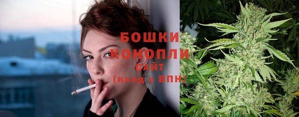 молекула духа Чекалин