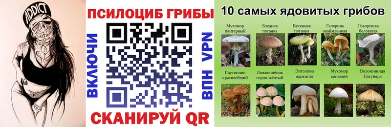 Купить закладки Талица Галлюциногенные грибы ЛСД